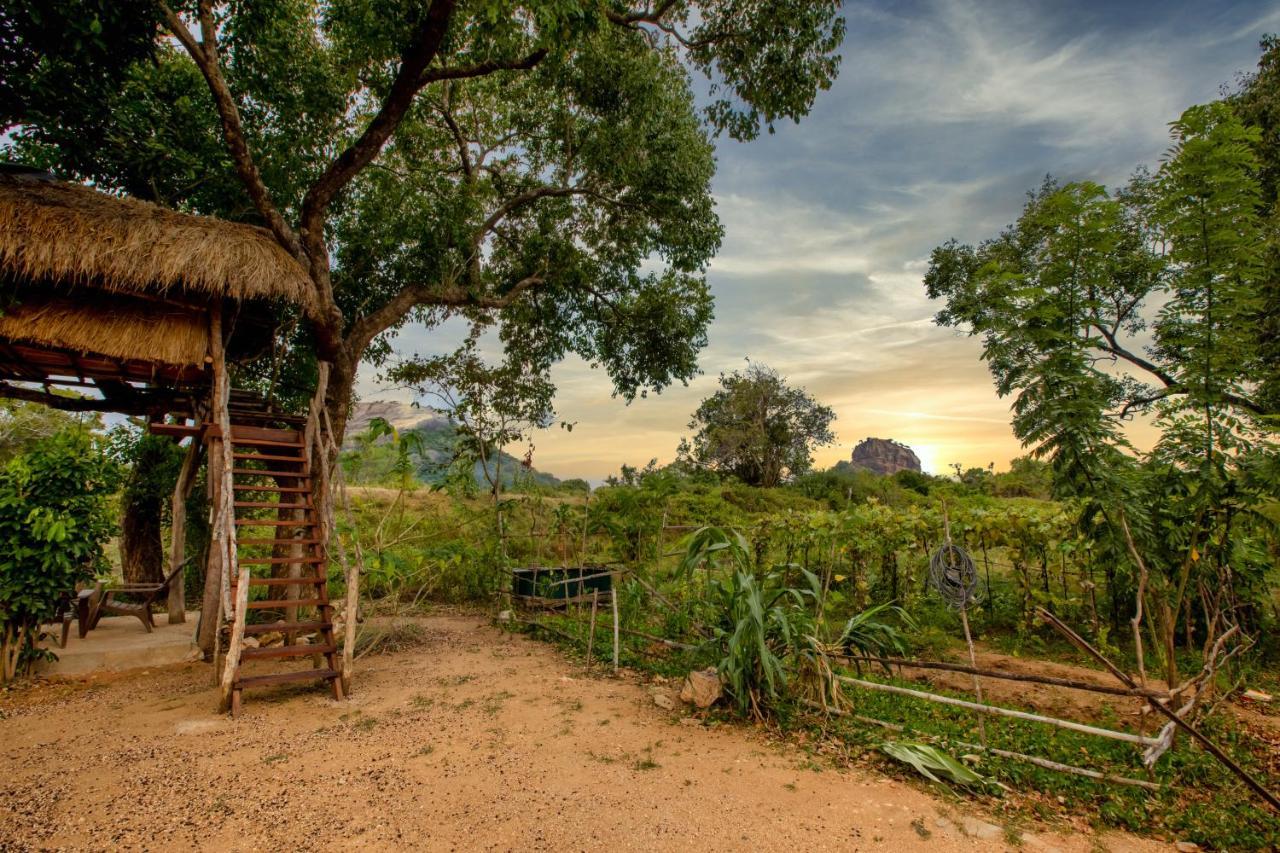 Sigiriya King'S Resort Luaran gambar