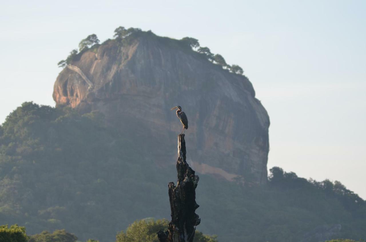 Sigiriya King'S Resort Luaran gambar