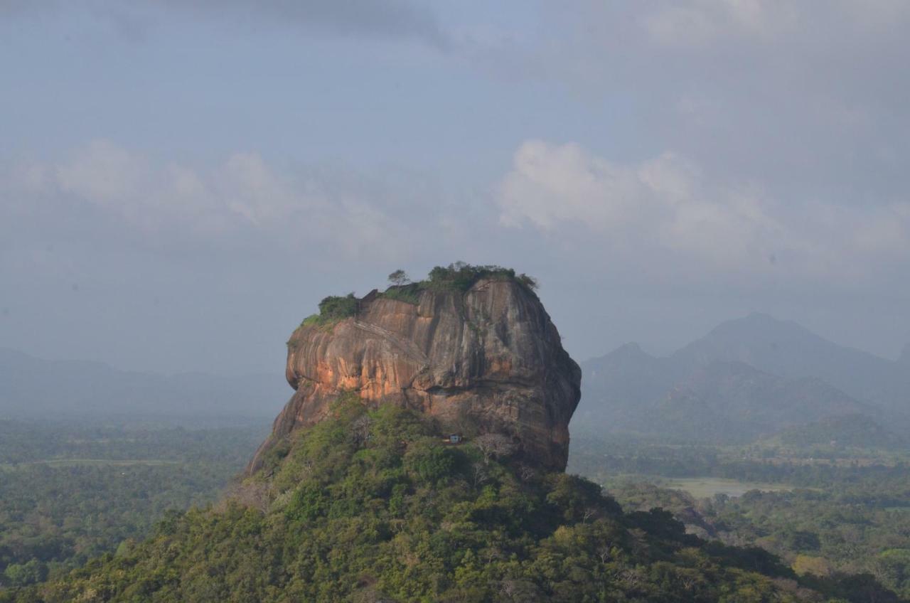 Sigiriya King'S Resort Luaran gambar