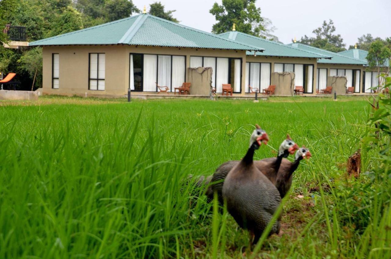 Sigiriya King'S Resort Luaran gambar
