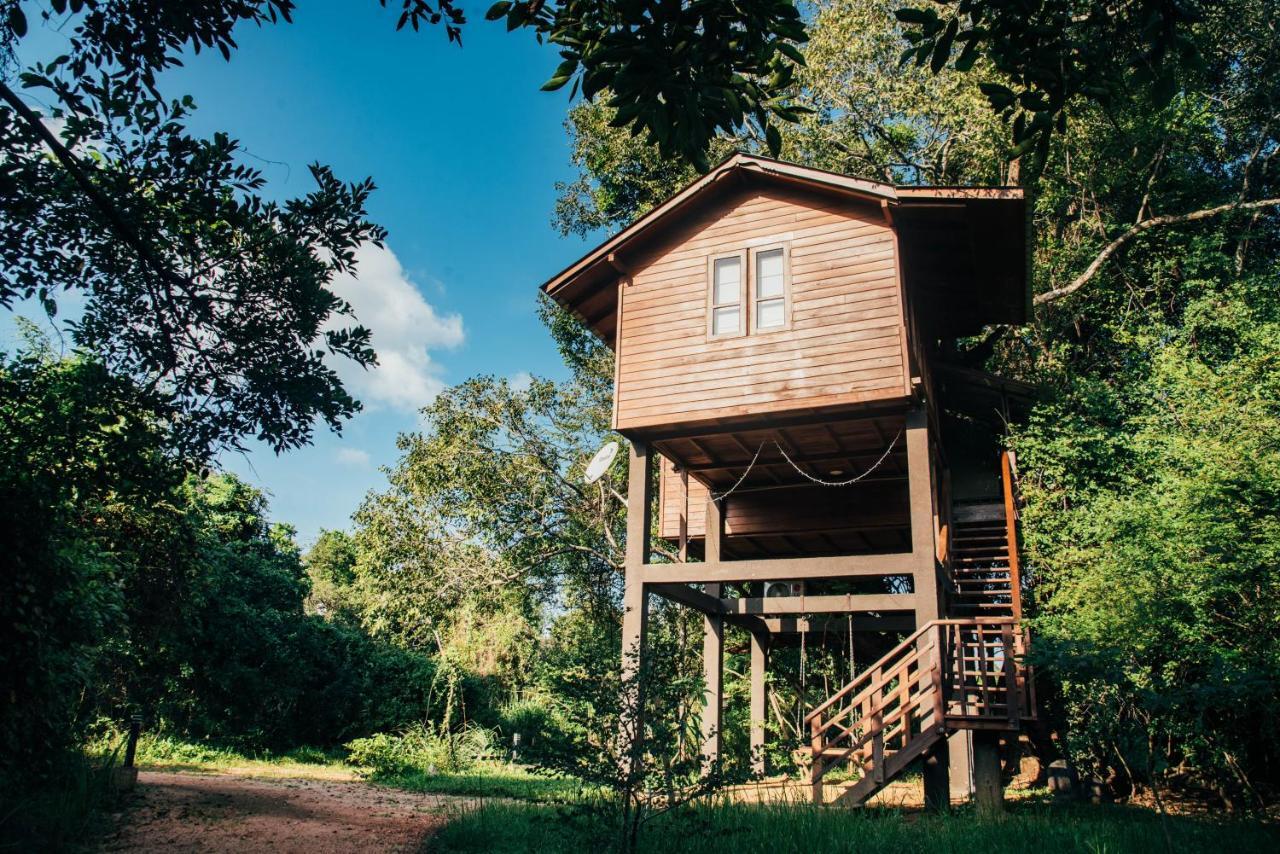 Sigiriya King'S Resort Luaran gambar