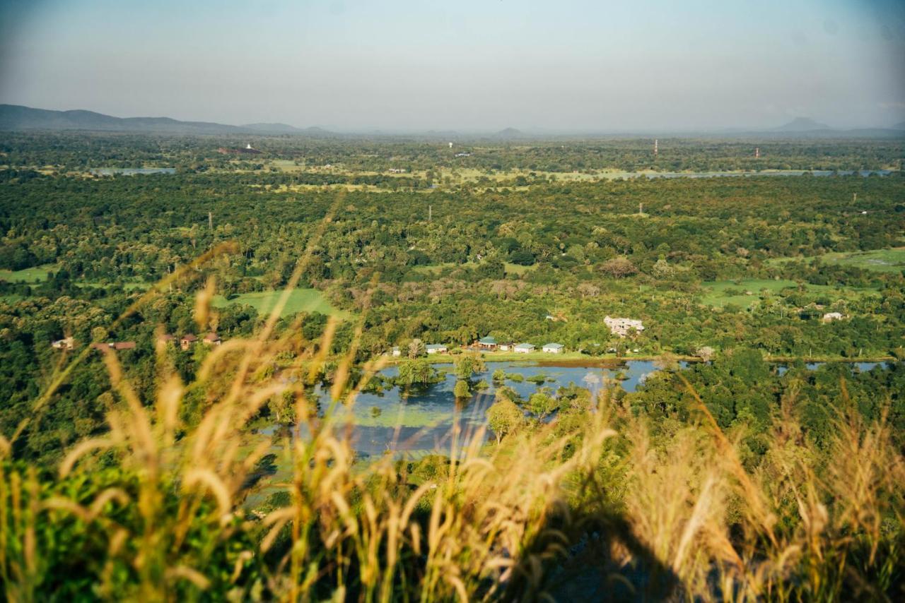 Sigiriya King'S Resort Luaran gambar